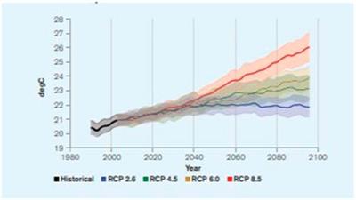 Frontiers | Impact Of Climate Change Shocks On Economic Growth: A New ...